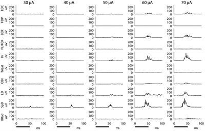 Motor cortex outputs evoked by long-duration microstimulation encode synergistic muscle activation patterns not controlled movement trajectories